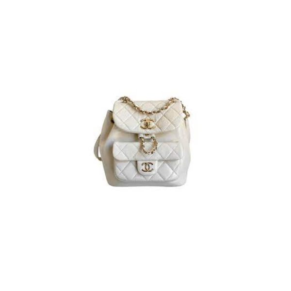 Ch*el 22a mini duma backpack