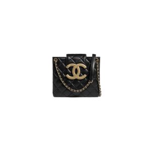 Ch*el hobo handbag