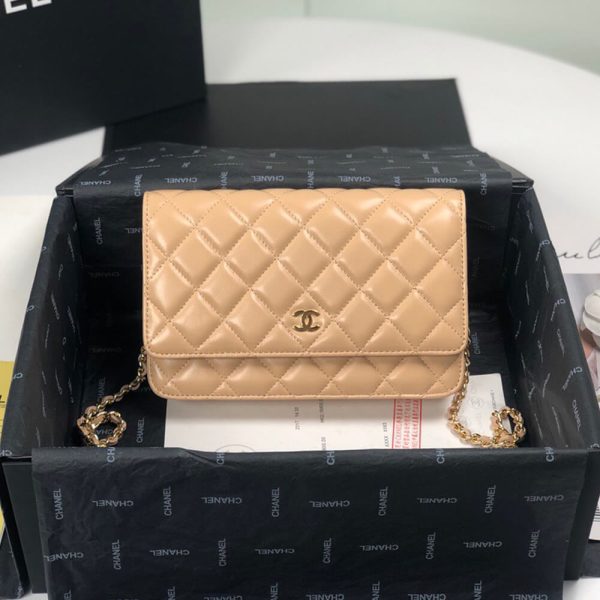 Ch*el wallet on chain